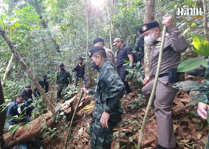 ตร