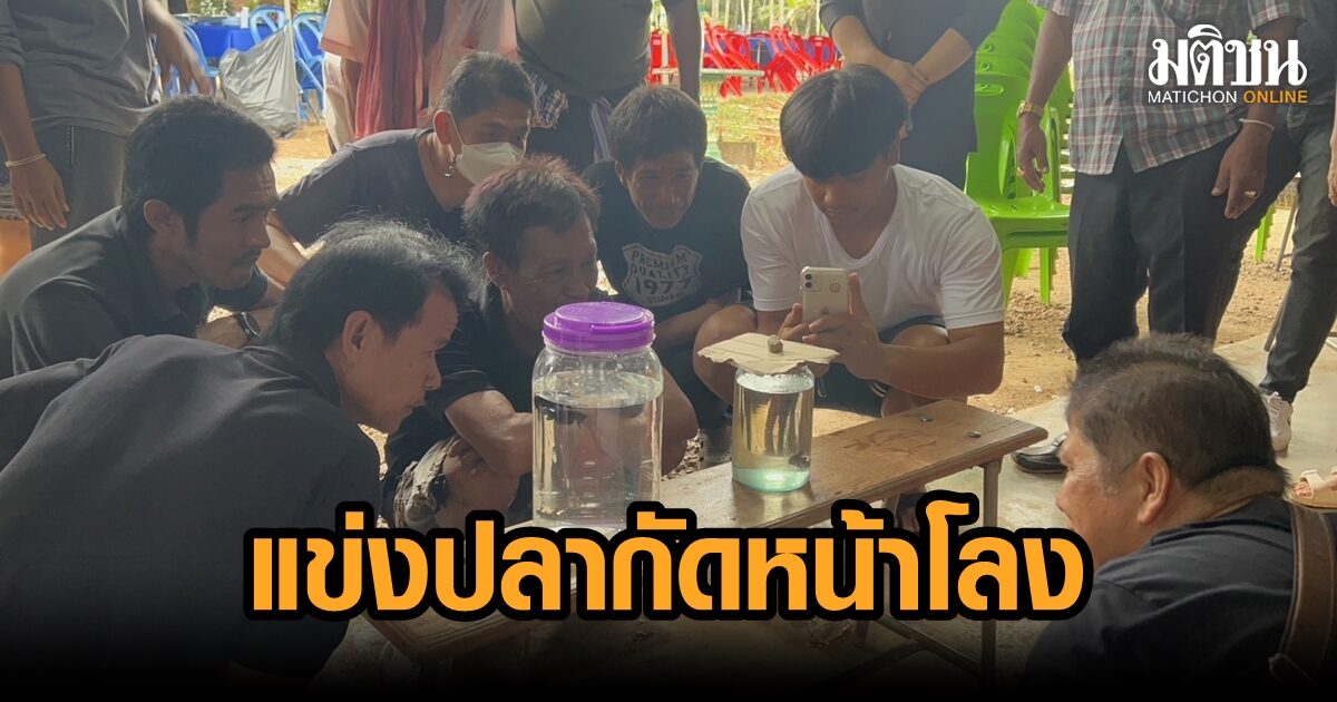 เพื่อนฝูง จัดแข่งปลากัดหน้าโลงศพ กองเชียร์ส่งเสียงสนั่น เหตุคนตายชื่นชอบ