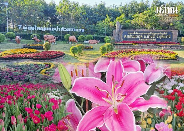 อุทัยธานี เมืองแห่งมนต์เสน่ห์
