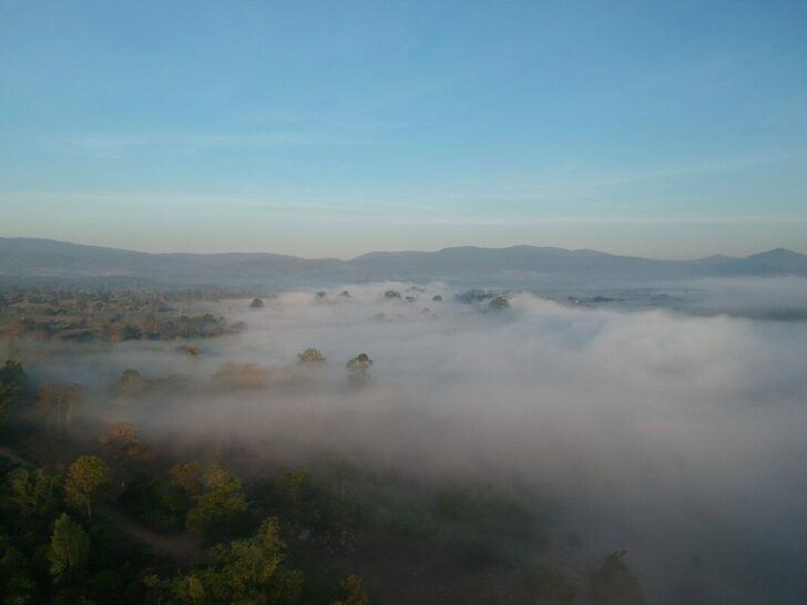 DCIM/100MEDIA/DJI_0220.JPG