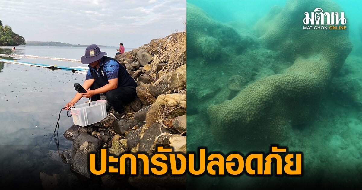 กรมทะเลฯ เร่งจัดการคราบน้ำมันรั่ว เกาะหมาก หลังสปีดโบ๊ทไฟไหม้ ยังไม่พบสัตว์น้ำตาย