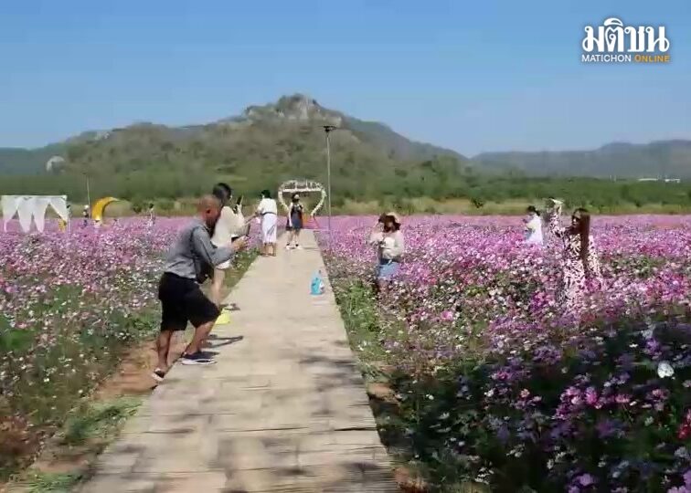 นักท่องเที่ยวแห่ชมสวนดอกไม้แลนด์มาร์กแห่งใหม่ของสระบุรี