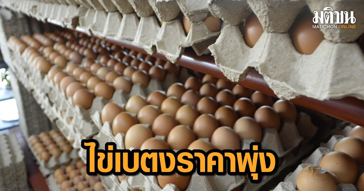 ไข่ไก่เบตงราคาพุ่ง ฟองละ 4 บาทแล้ว สวนทางกับรายได้ที่ค่าแรงขั้นต่ำ 240 บาท