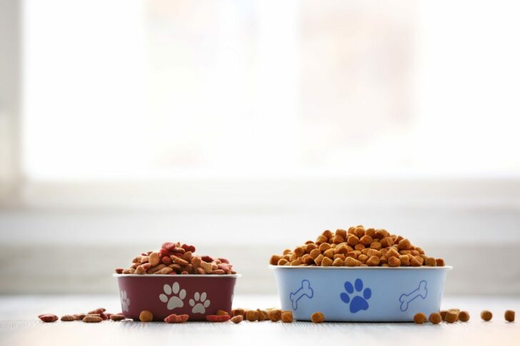 Dog,Food,In,Bowls,On,Table