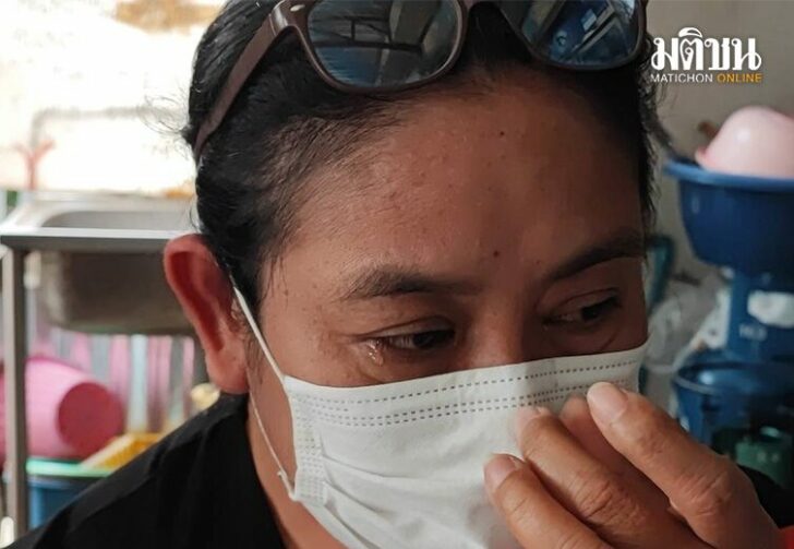 ขนาดเว็บหามาทั้งชีวิต