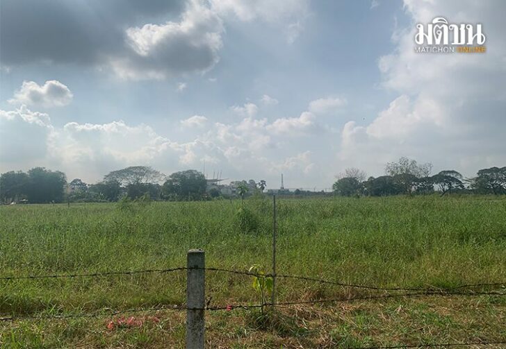 ขนาดเว็บเอฟเฟ็ต์ภาษีแพง02