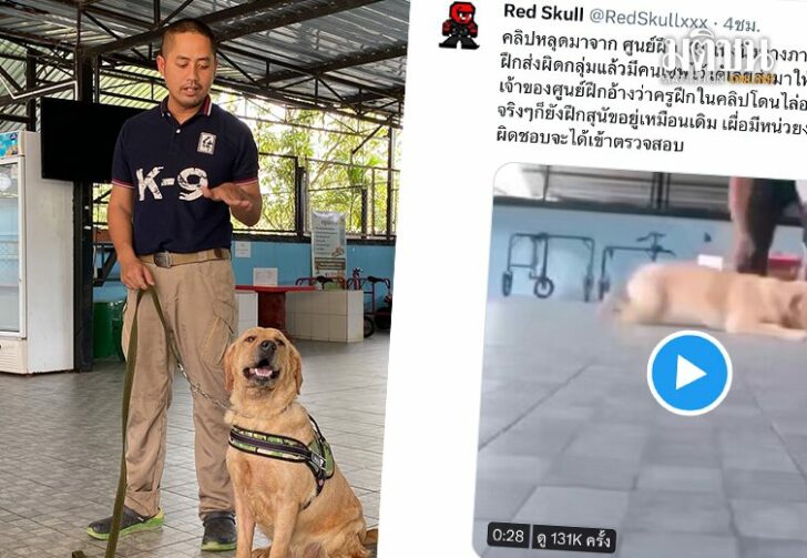ขนาดเว็บแจงคลิปเก่า1321