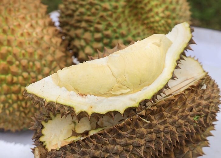 ทุเรียนสะเด็ดน้ำยะลา