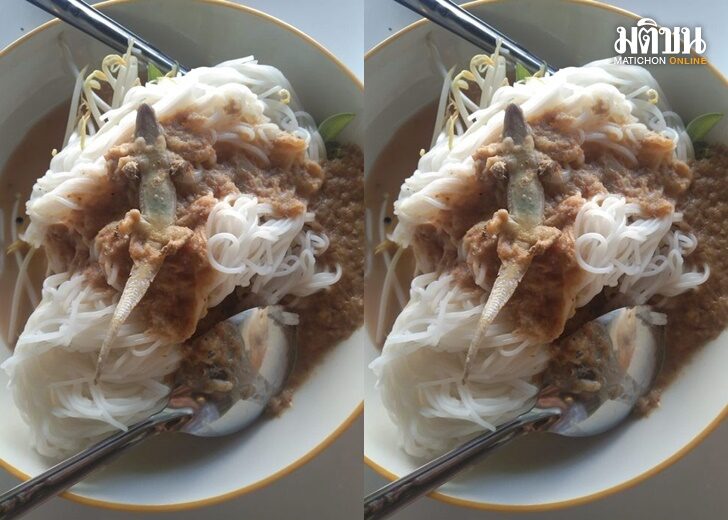 ปก-จิ้งจก