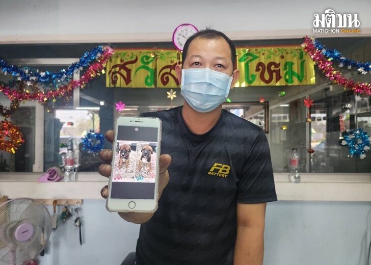 ปก-น้องหมา