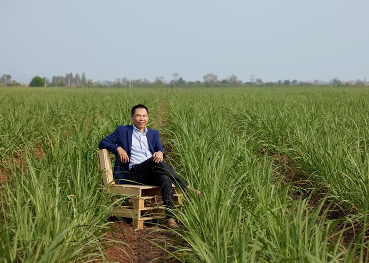 มิตรผล