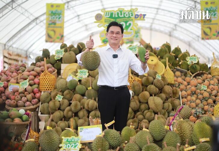 ขนาดเว็บดันราคาผลไม้587