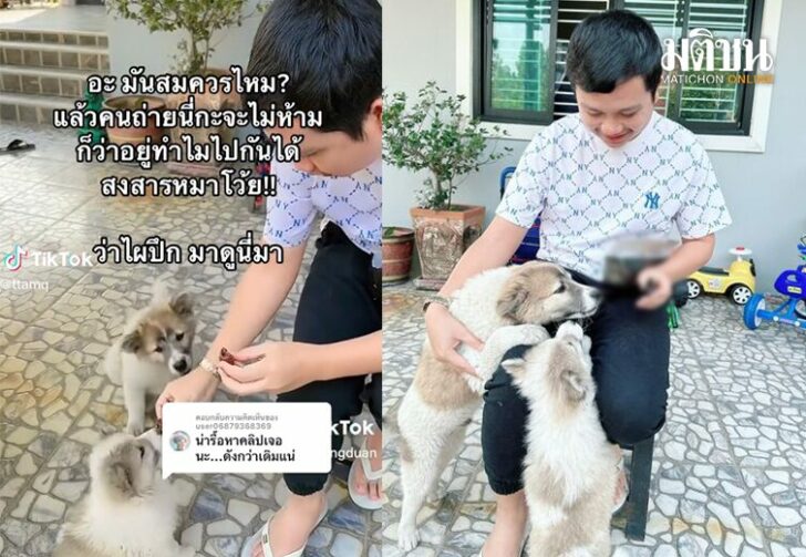 ขนาดเว็บเบลอช็อกโกลต