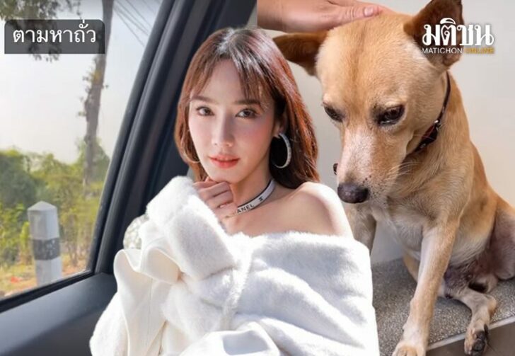 ตามหาหมา3