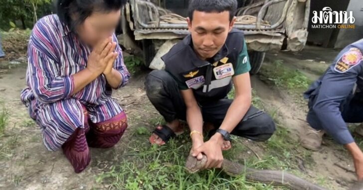 ไหว้งู3