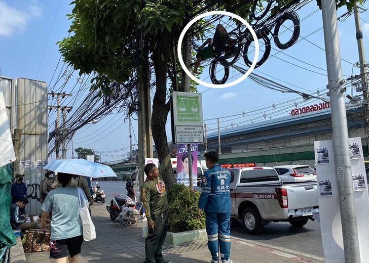 นอนสายสื่อสาร-02