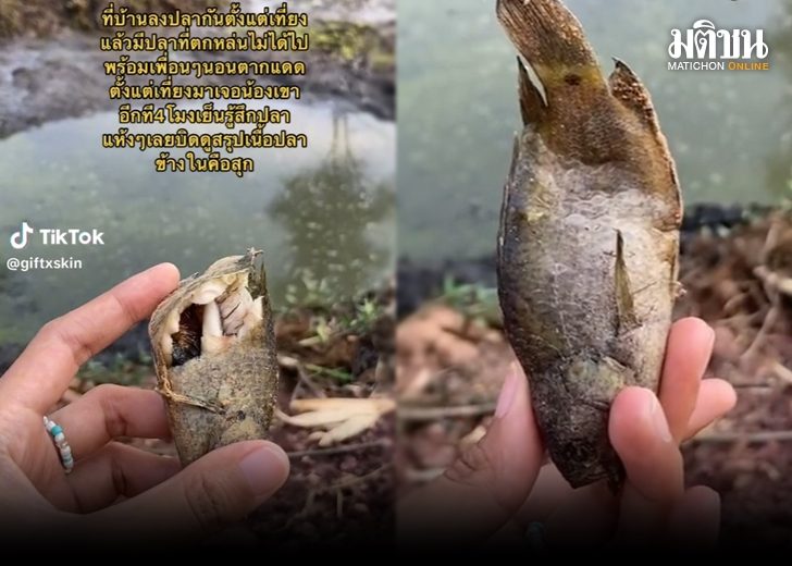 ปลายังสุก