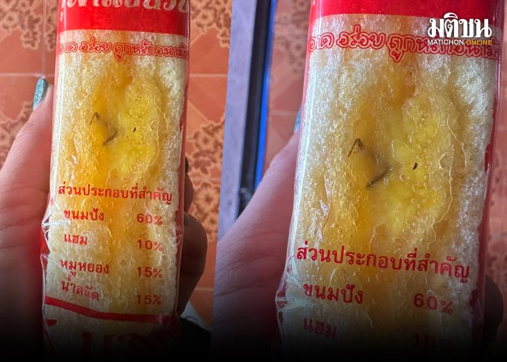 ขาโผล่1231564