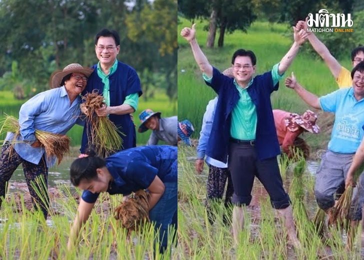 จุรินทร์-ประกันราคาข้าว