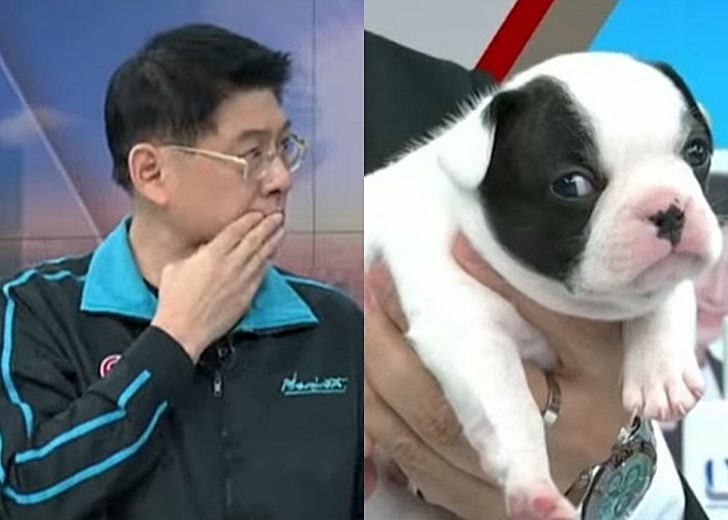 สรยุทธ รับเลี้ยงหมาไม่ได้