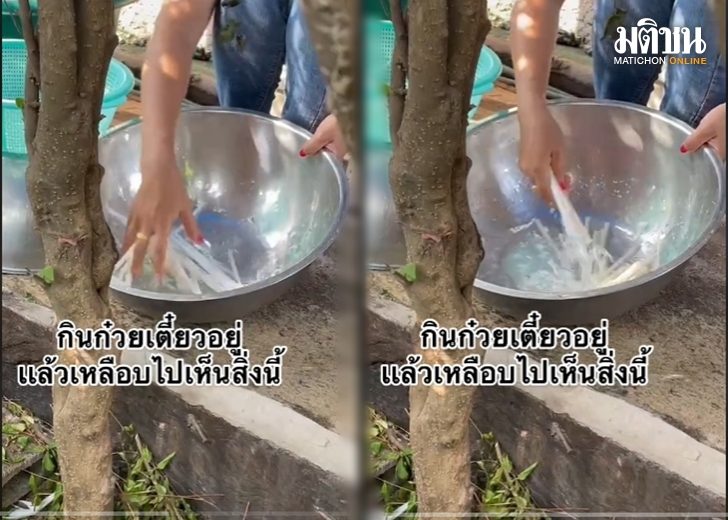หลอด เว็บ