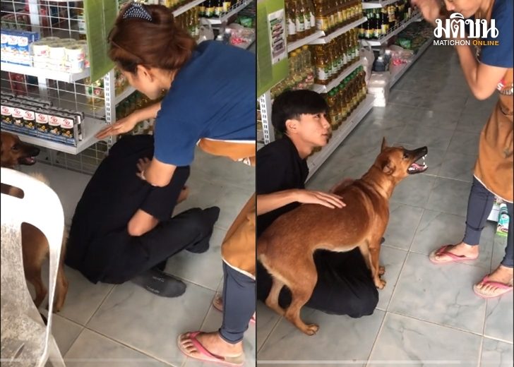 น้ำตาลลุย..น้องหมา ขู่สู้ ช่วยเจ้าของที่ถูกแม่ตี ชาวเน็ตอวย นี่ล่ะหมาไทย น้ำตาลลุย..น้องหมา ขู่สู้ ช่วยเจ้าของที่ถูกแม่ตี ชาวเน็ตอวย นี่ล่ะหมาไทย