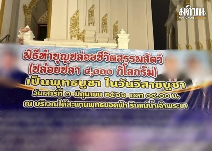 ปก-ปลาดุก