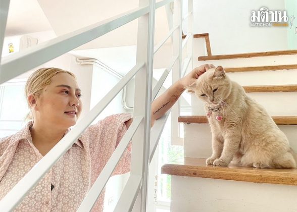 ชีวิตต้องสู้เพื่อเหมียว Catster คาเฟ่แมวจรเพจดัง ‘ทูนหัวของบ่าว’ เล่นไม่อั้น แถมอุ้มกลับไม่คิดตังค์