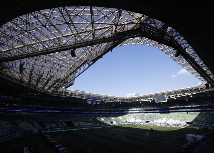 Brasileiro Championship - Palmeiras v Botafogo