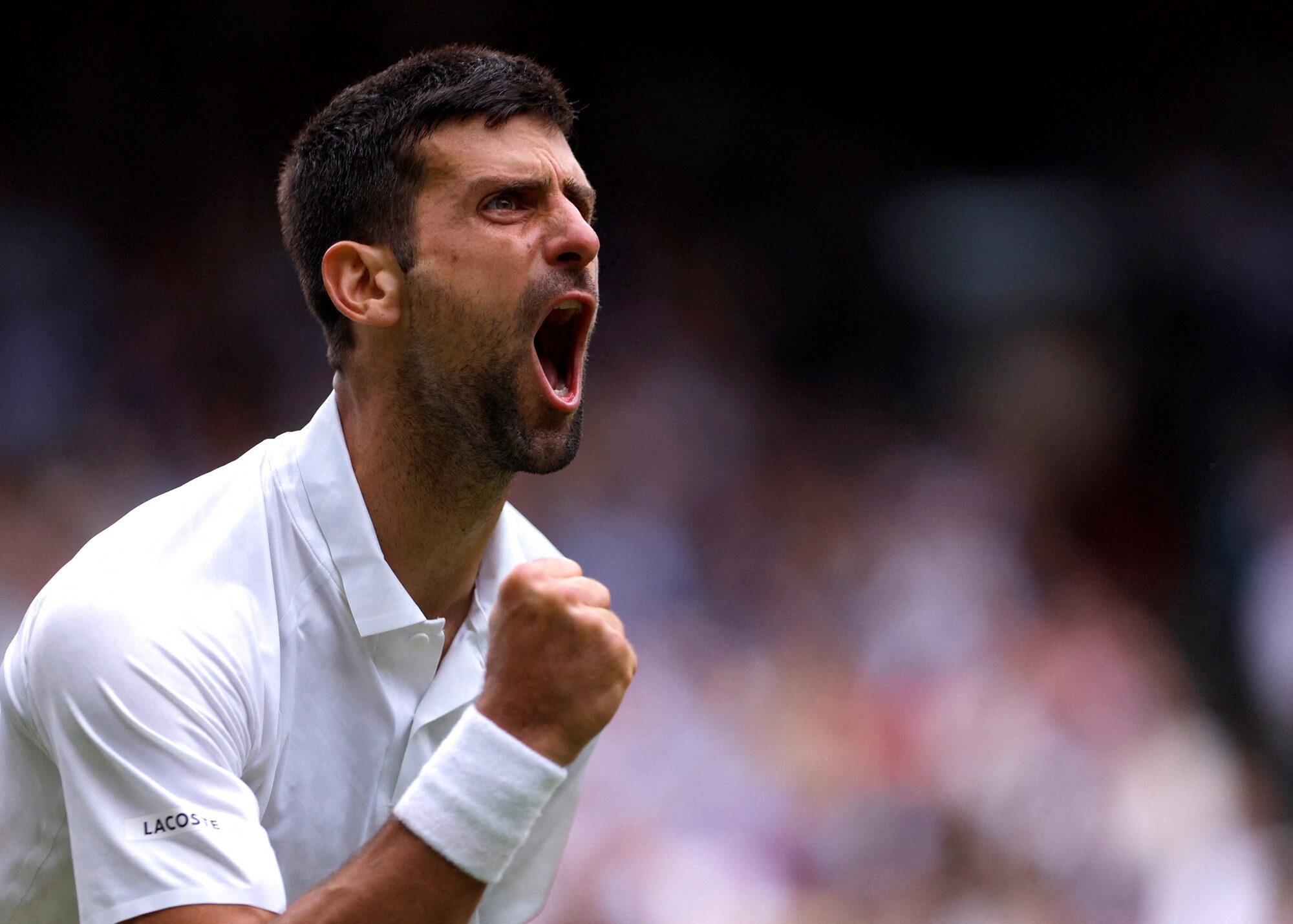 Wimbledon Djokovic
