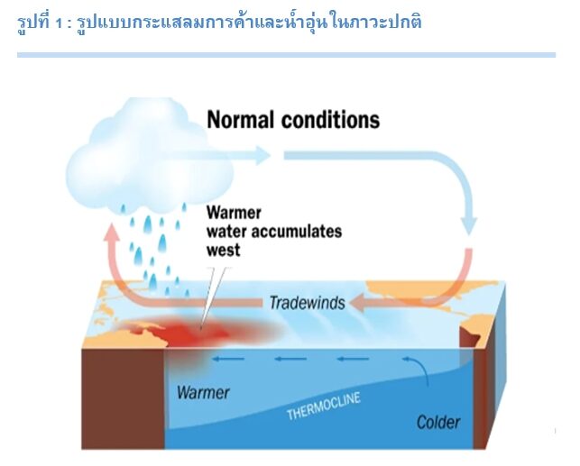 ที่มา : GISDA ที่มา : GISDA