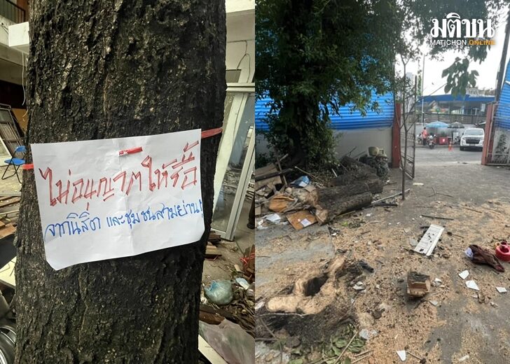 ต้น เว็บ