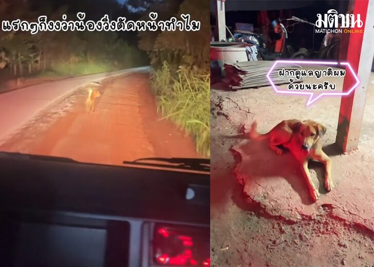 แสนรู้123