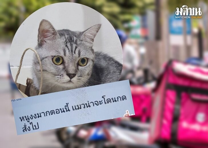 ไรเดอร์-3 เว็บ
