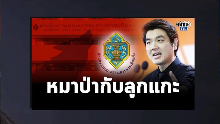 ปกดำ