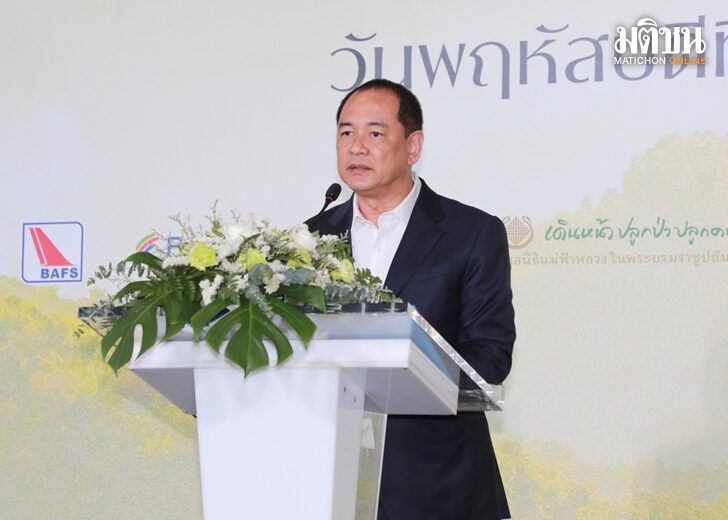 ป่า เว็บ