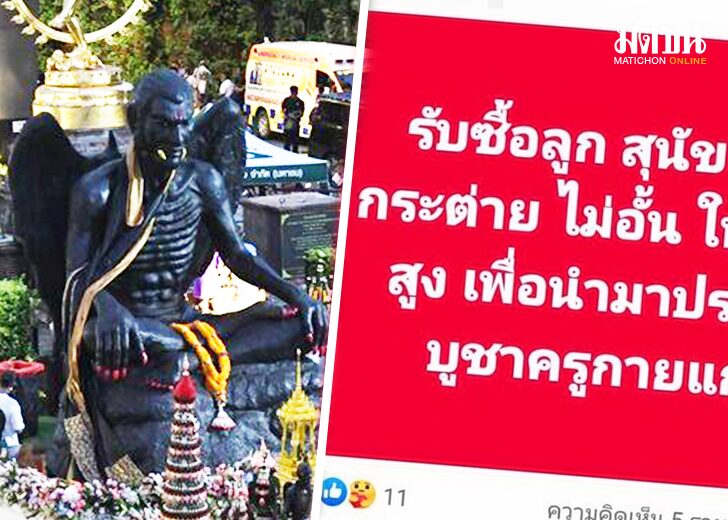 รับซื้อลูกสัตว์ครูกายแก้ว11