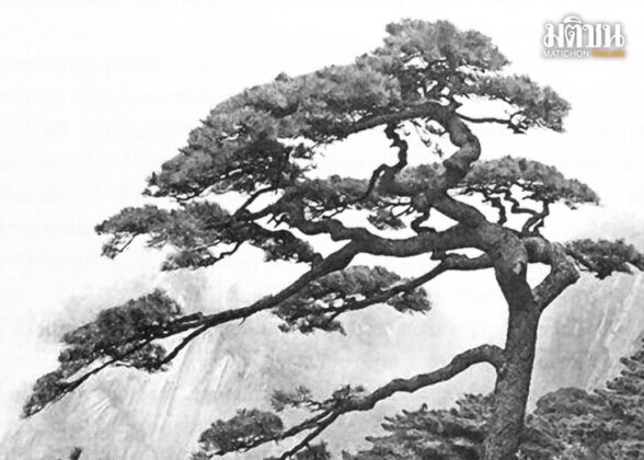 อายุ 70 ปี ในวัฒนธรรมจีน