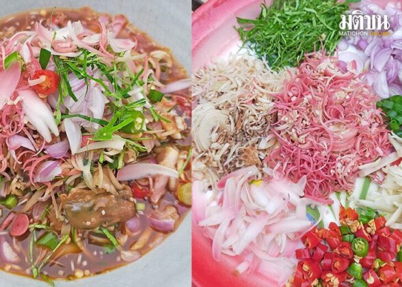‘หอยดองดาหลา’ โอชะที่เราสร้างได้