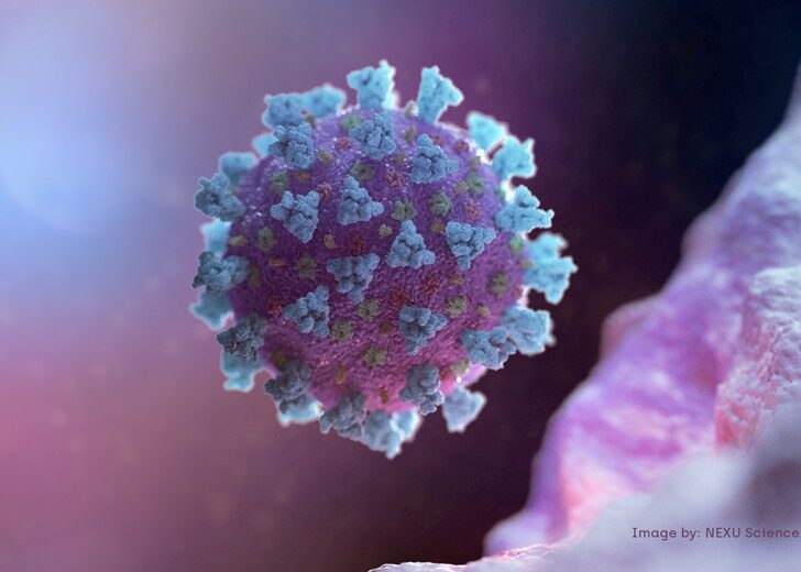 FILE PHOTO: A computer image created by Nexu Science Communication together with Trinity College in Dublin, shows a model structurally representative of a betacoronavirus which is the type of virus linked to COVID-19