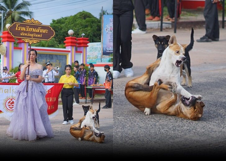 น้อน ก 465