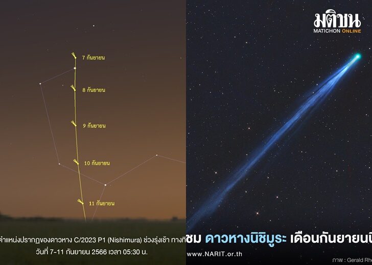 เว็บ