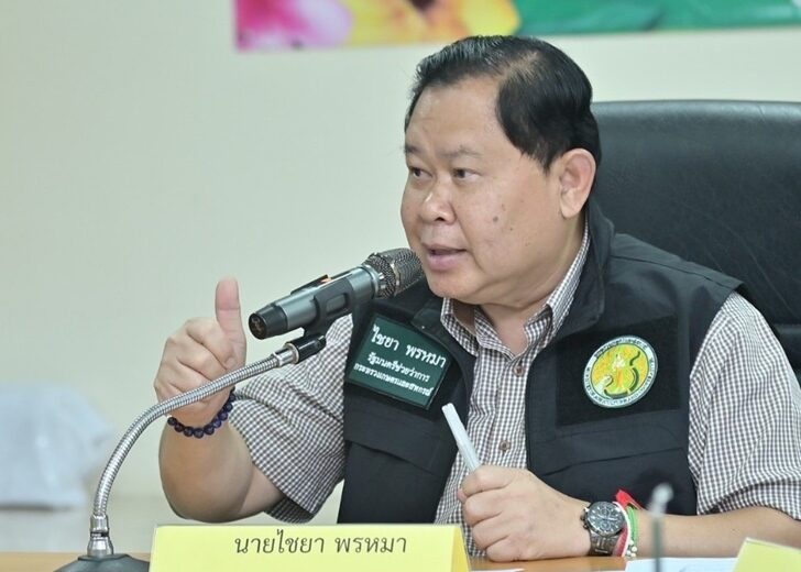 ไชยา-เตรียมทำลายหมูเถื่อน