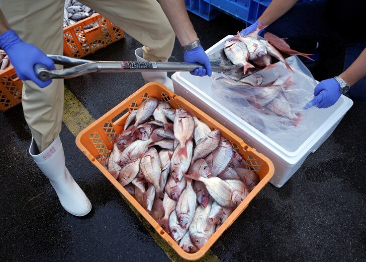 FILE PHOTO: IAEA Marine Environmental Laboratories experts visit Japan to monitor Fukushima water release