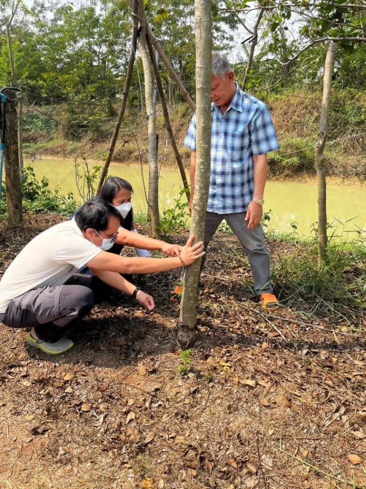 “กรมวิชาการเกษตร” แนะขึ้นทะเบียนปลูกไม้ต้นบัญชีไซเตสเพื่อการส่งออก