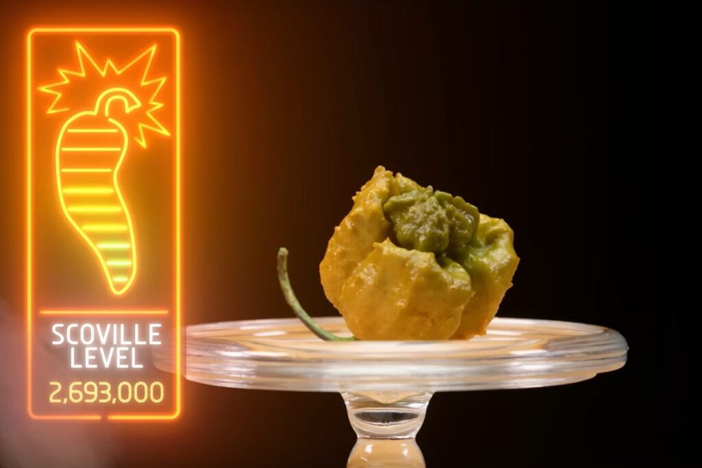 แซ่บซี้ด! กินเนสส์บุ๊ก บันทึกสถิติ Pepper X เป็นพริกเผ็ดที่สุดในโลก