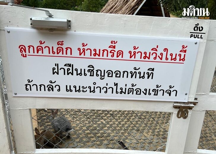 กระต่าย เว็บ