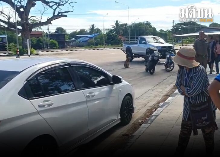 อาลัยครู 728