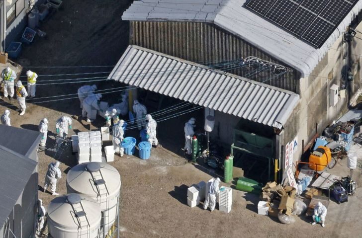 2023-11-25T065737Z_1356286808_RC26K4A9QU0V_RTRMADP_3_HEALTH-BIRDFLU-JAPAN