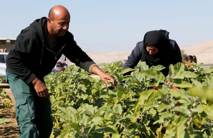 PALESTINIANS-TRADE-2-728x472